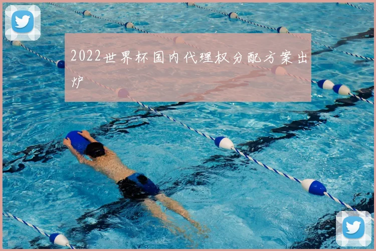 2022世界杯国内代理权分配方案出炉