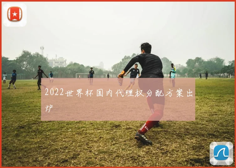 2022世界杯国内代理权分配方案出炉